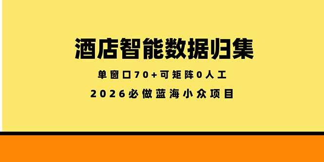（18500期）酒店智能数据归集，小众蓝海已经稳定半年之久，单窗口70+零成本矩阵开干-UUY