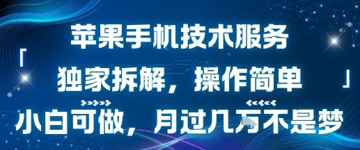 苹果手机技术服务，独家拆解，操作简单，小白可做，月过1W不是梦-UUY