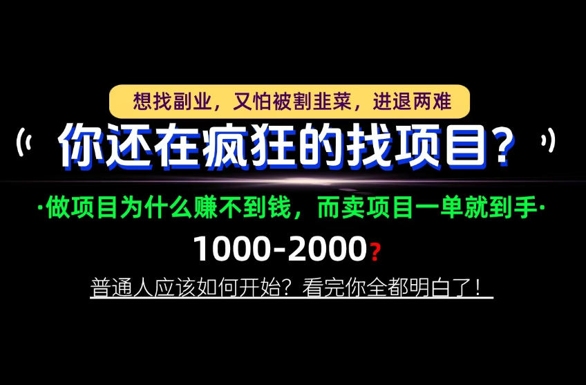 你还在疯狂的找项目？别傻了！卖项目才是真正的一本万利！怎么做，看完你全都明白！【揭秘】-UUY