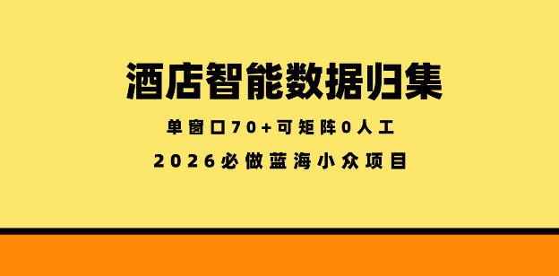 酒店智能数据归集，小众蓝海已经稳定半年之久，单窗口70+零成本矩阵开干【揭秘】-UUY