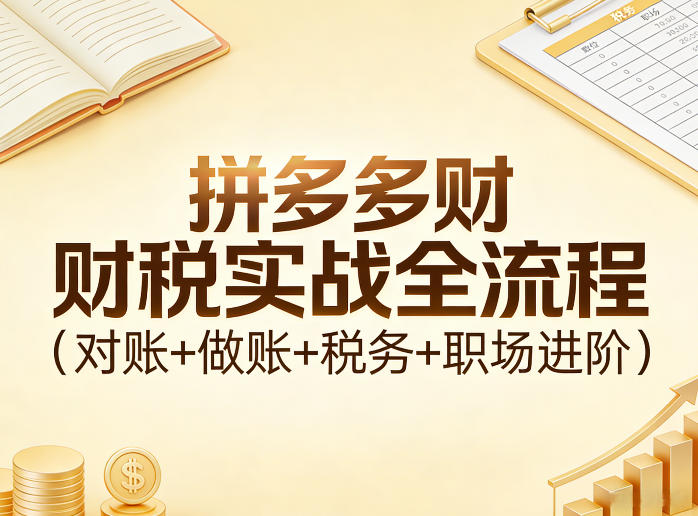 拼多多财税实战全流程(对账+做账+税务+职场进阶)-UUY